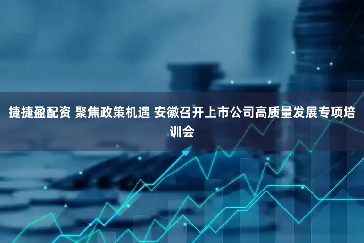 捷捷盈配资 聚焦政策机遇 安徽召开上市公司高质量发展专项培训会